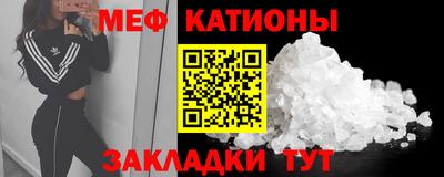 трава Бийск