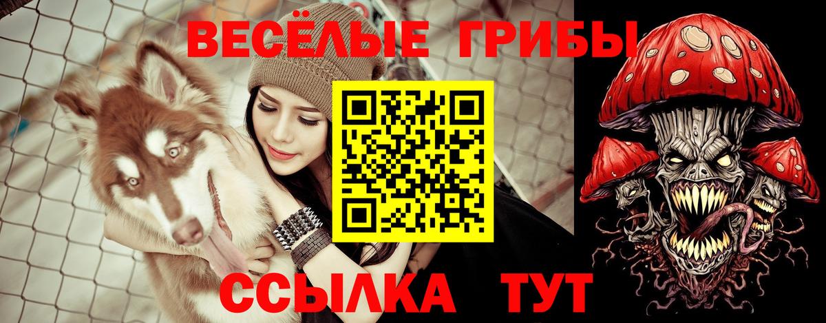 Галлюциногенные грибы мухоморы Карпинск
